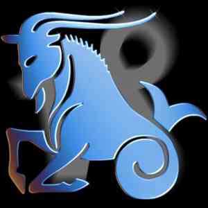 capricorn rashiphal 2011, capricon horoscope 2011