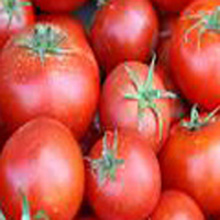 tomatoes can protect you from cancer