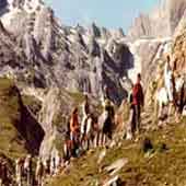 government-interrupted-in-amarnath-yatra-disputes-06201113