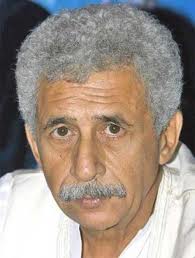 naseeruddin not want to do direction