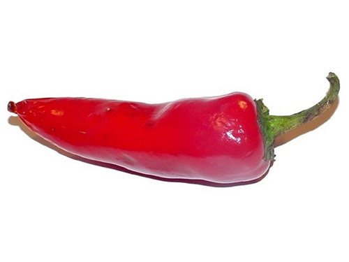 new-researchre-about-red-chilli