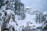 temperatur below zero in shimla